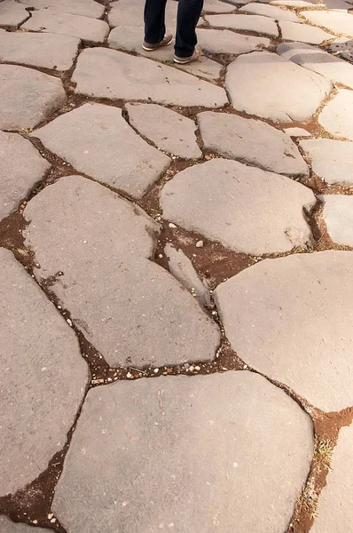 Тротуарная плитка — стоковое фото