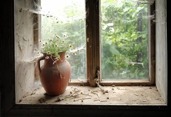 Rústico ainda vida com flores selvagens em jarro de barro marrom — Fotografia de Stock