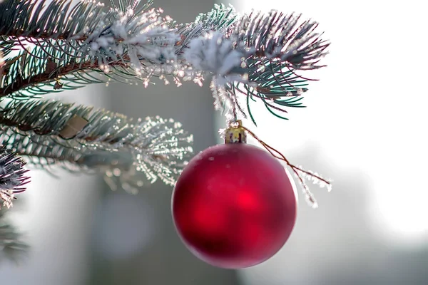 Árbol de Navidad con bola colgante — Foto de Stock