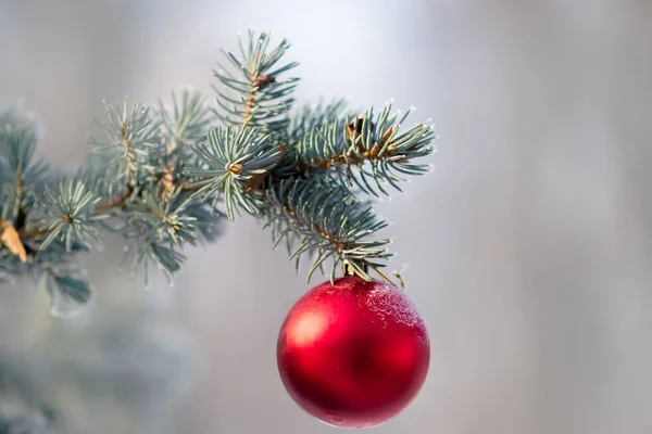 Julgran med av hängande bollen — Stockfoto