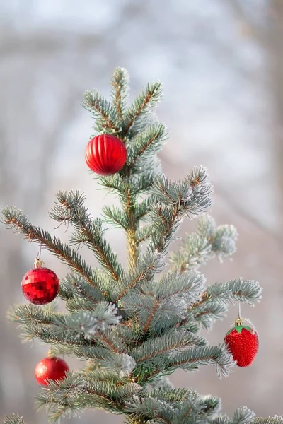 Julgran med av hängande bollen — Stockfoto