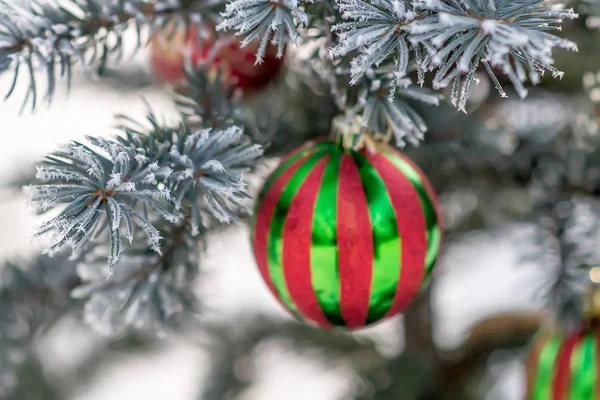 Bola de Navidad a rayas en una rama de árbol cubierta de nieve — Foto de Stock