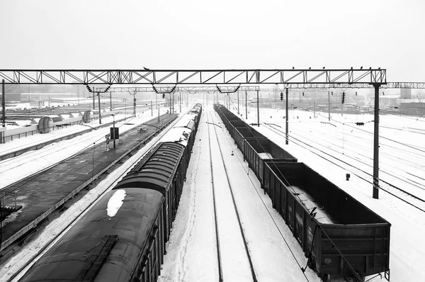 Trenes de mercancías en la estación de tren — Foto de Stock