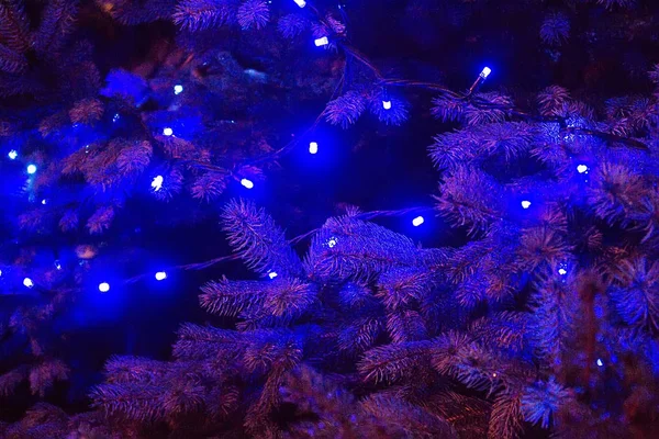 Weihnachtsbaum mit Girlanden geschmückt — Stockfoto