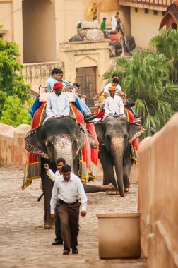 Bir fil binen turistler