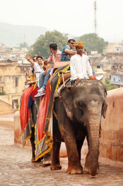 Bir fil binen turistler