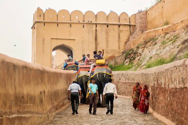 Bir fil binen turistler