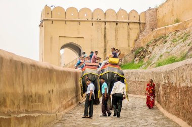 Bir fil binen turistler