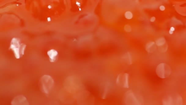 Caviar vermelho. macro — Vídeo de Stock