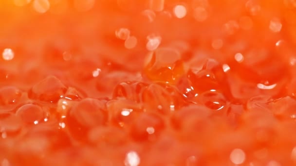 Caviar rojo. macro — Vídeo de stock