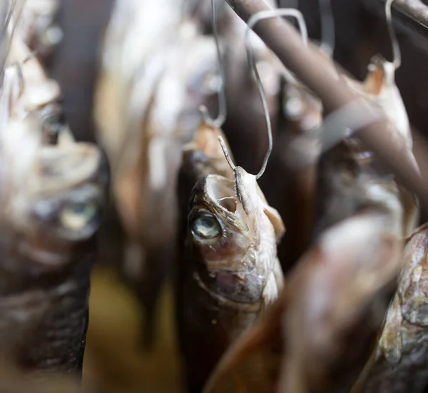 Produktion av rökt fisk — Stockfoto