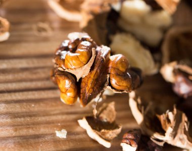 Ceviz masanın üzerinde. Makro