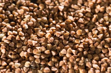 siyah bir arka plan buğday