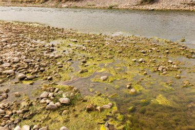 doğada nehir içinde taşlar