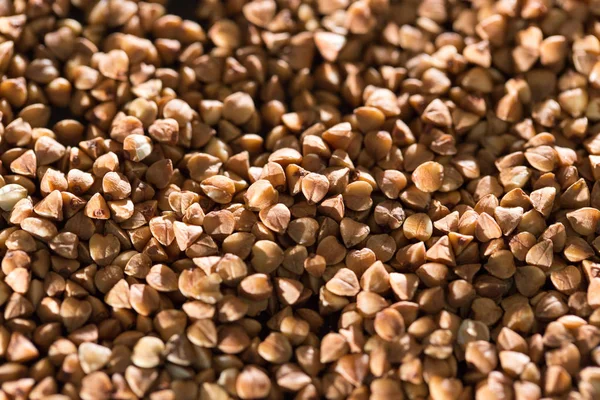 siyah bir arka plan buğday