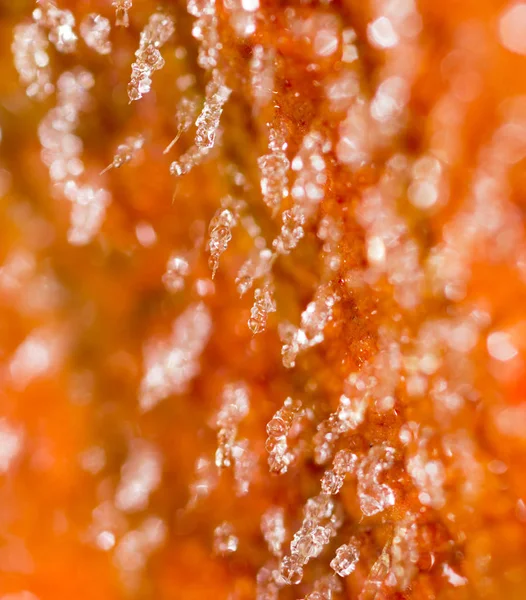 Red leaf with hoarfrost. macro — Stock Photo, Image