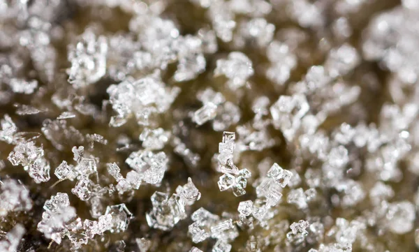 Hoja con hoarfrost. macro — Foto de Stock