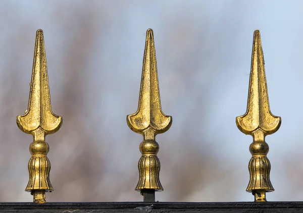 bir zemin olarak altın çit