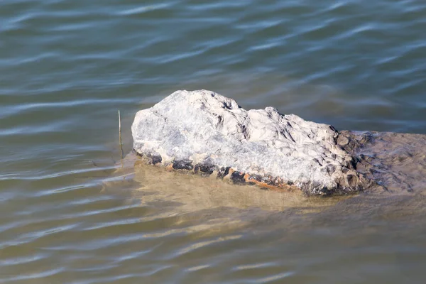 A large rock in the lake water — Stock Photo, Image