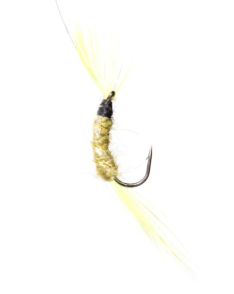 Fly for fishing on a white background — Stock Photo, Image