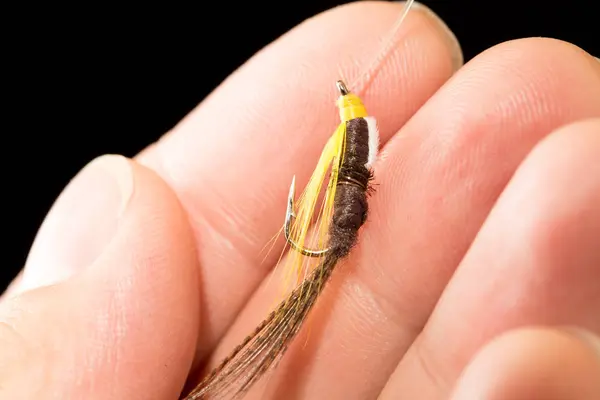 Fliege, um Fische in der Hand auf schwarzem Hintergrund zu fangen — Stockfoto