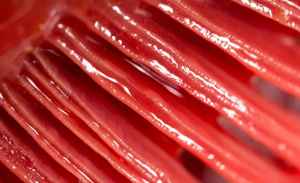 Branchies rouges de poissons comme fond. macro — Photo