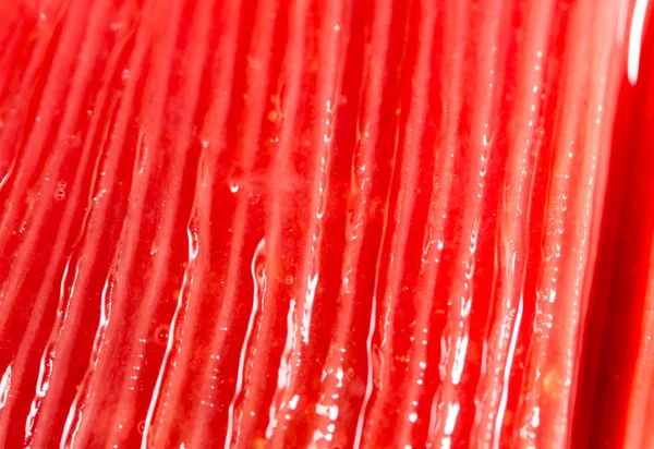 Czerwone skrzela ryb jako tło. makro — Zdjęcie stockowe