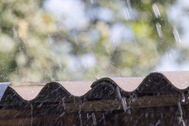 yağmur doğa küplere