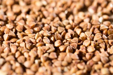 arka plan olarak buğday