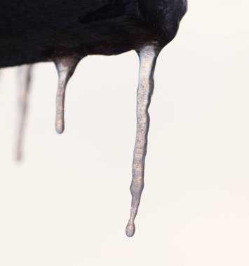 Kış buz sarkıtları güneş şafak üzerinde