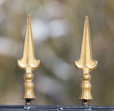 bir zemin olarak altın çit