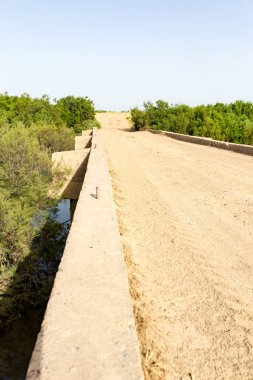 Çöldeki toprak yol.