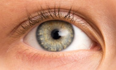 Çocuk gözleri. Makro