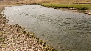 Kazakistan'ın Boralday Nehri