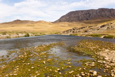 doğada nehir içinde taşlar