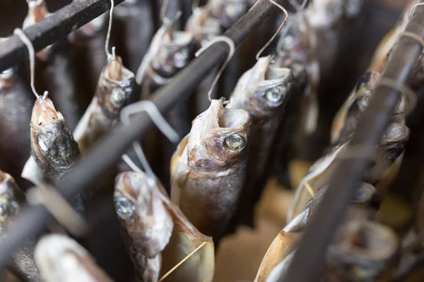 Виробництво копченої риби — стокове фото