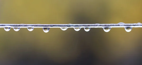 Regentropfen auf Draht. Makro — Stockfoto