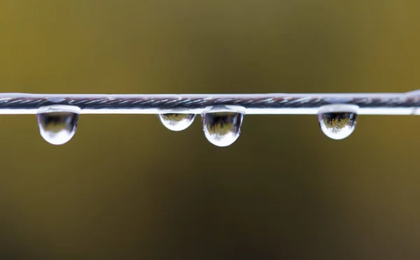 Regentropfen auf Draht. Makro — Stockfoto