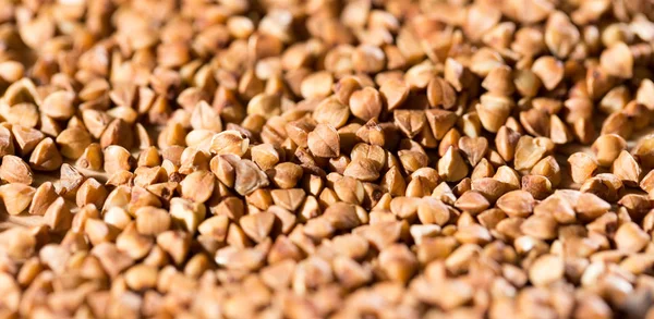 Buckwheat as background — Stock Photo, Image