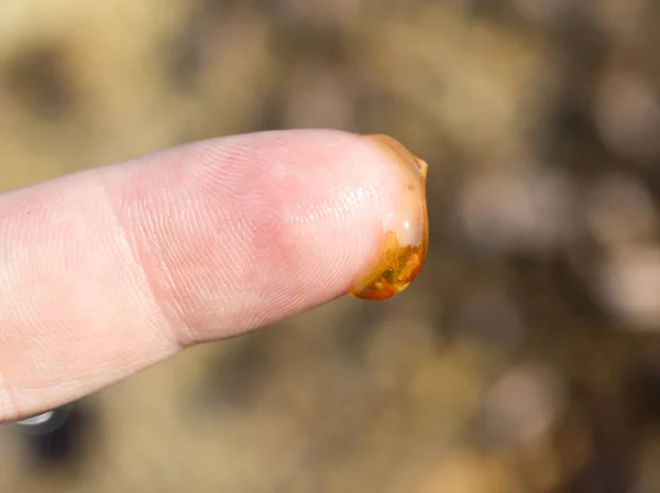 Honung på sitt finger i bigården — Stockfoto