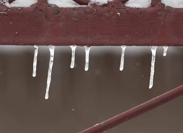 Icicles on winter nature — Stock Photo, Image