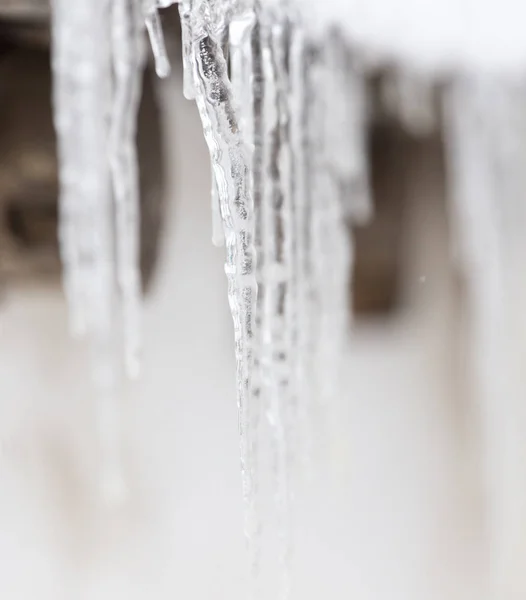 Istappar på vintern natur — Stockfoto