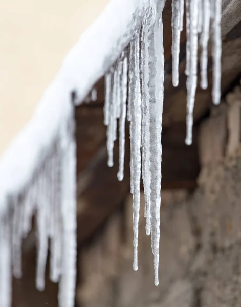 Icicles φύση χειμώνα — Φωτογραφία Αρχείου