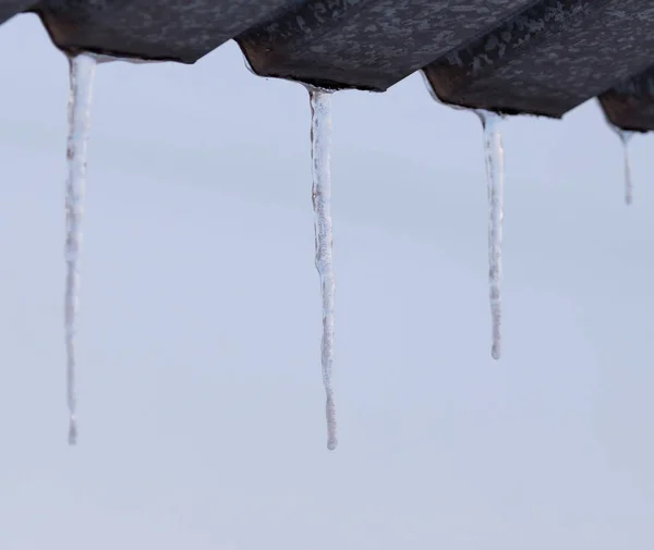 Es pada alam musim dingin — Stok Foto