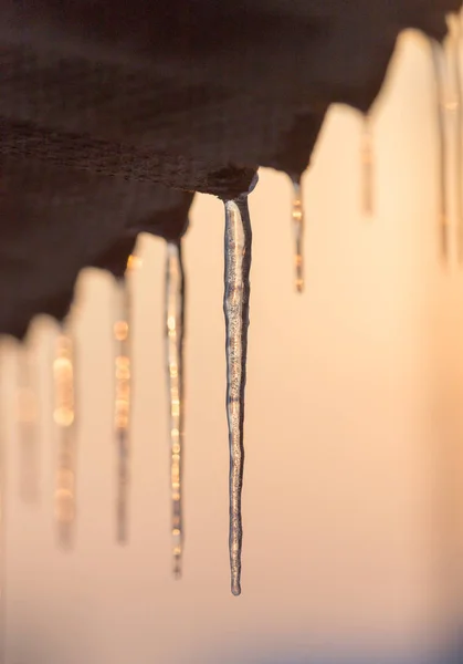 Winter icicles on the sun dawn — Stock Photo, Image