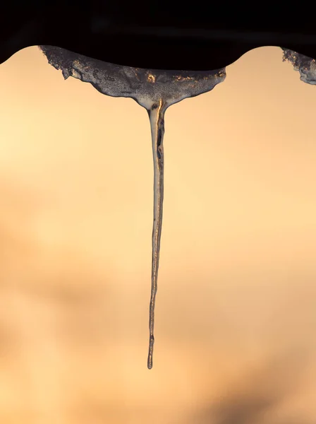 Vinter istappar på solen gryningen — Stockfoto