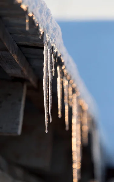 Winter ijspegels aan de dageraad van de zon — Stockfoto