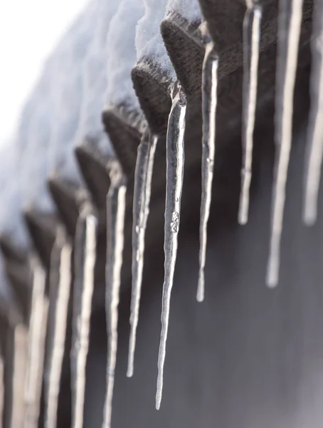 Winter icicles on the sun dawn — Stock Photo, Image