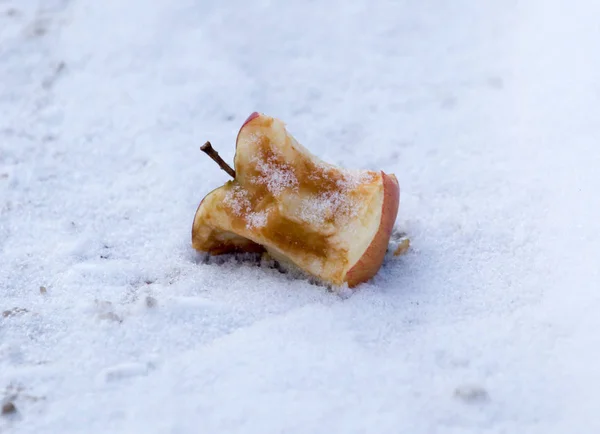 Pomme sur neige — Photo