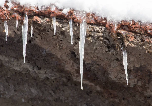 Icicles on winter nature — Stock Photo, Image